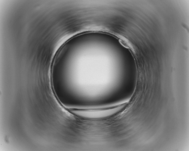 X0000096471343200802071848