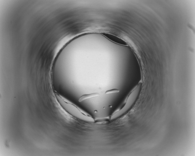 X0000096471344200802071848