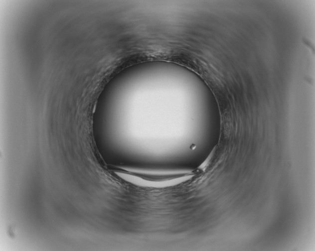 X0000096471345200802071847