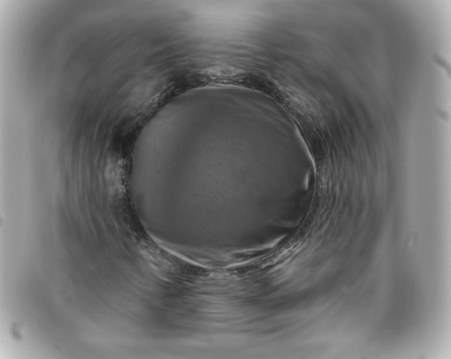 X0000096471346200802071847