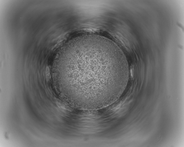 X0000096471347200802071847