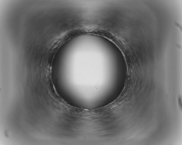 X0000096471349200802071847