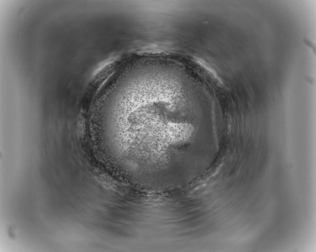 X0000096471350200802071847