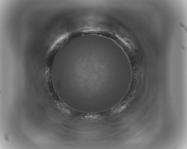 X0000096471351200802071847