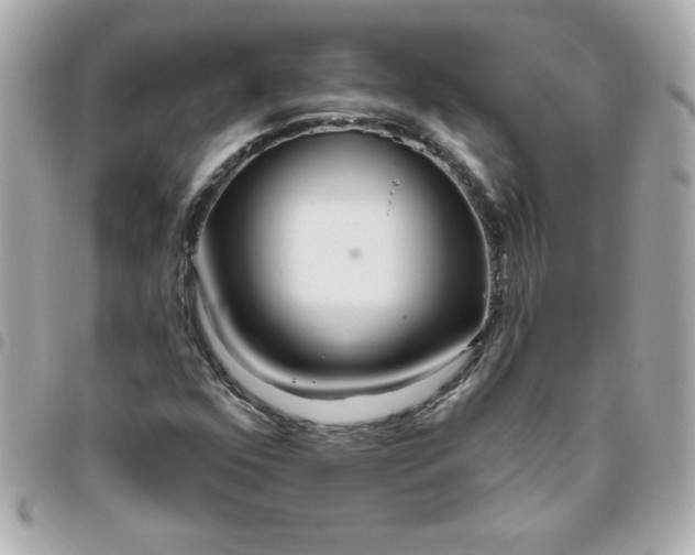 X0000096471352200802071847