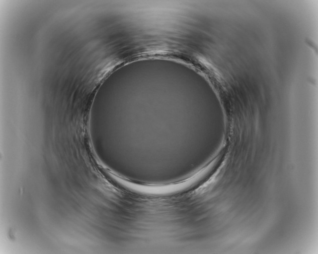 X0000096471353200802071847