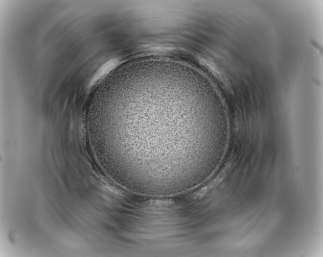 X0000096471354200802071847