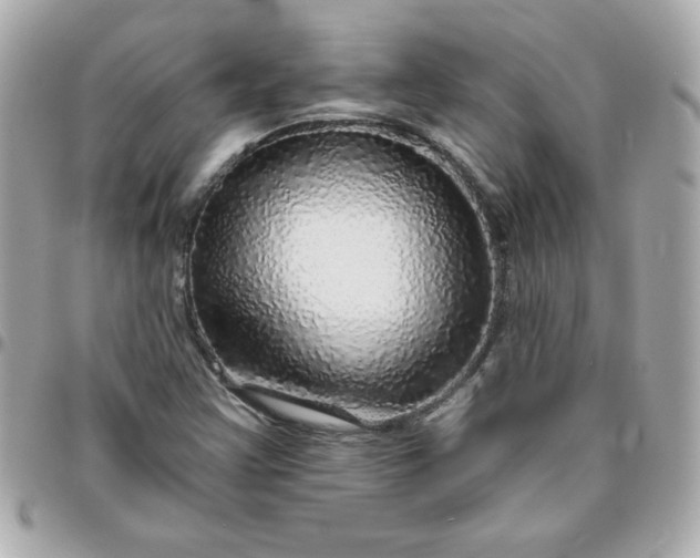 X0000096471355200802071847