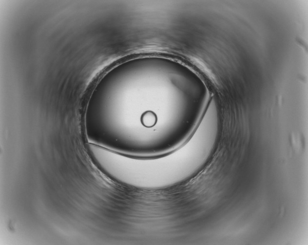 X0000096471356200802071847