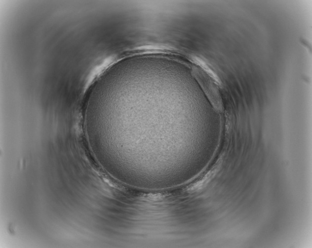 X0000096471357200802071847