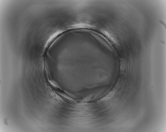 X0000096471358200802071847