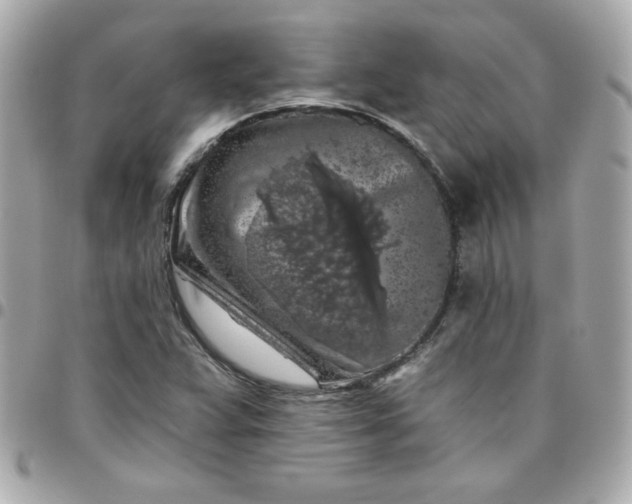 X0000096471359200802071847