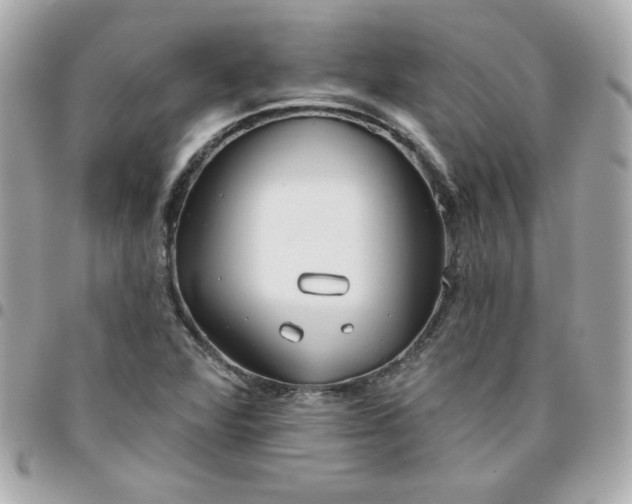 X0000096471360200802071847