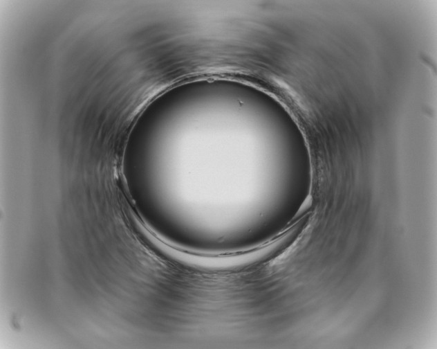 X0000096471361200802071847