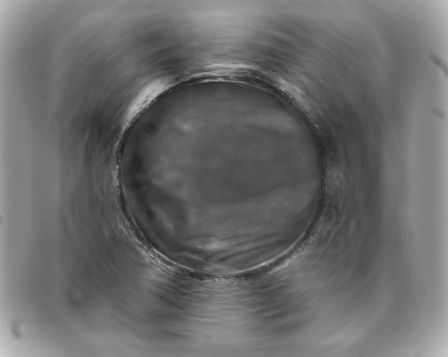 X0000096471362200802071847