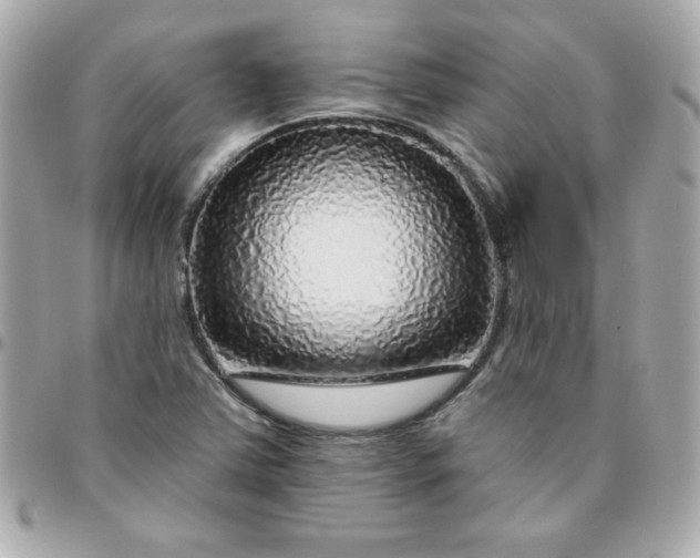 X0000096471363200802071847