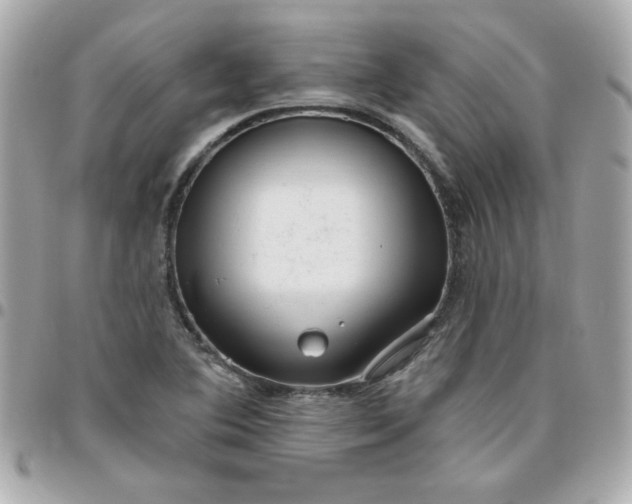 X0000096471364200802071847