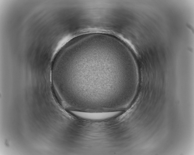 X0000096471365200802071847