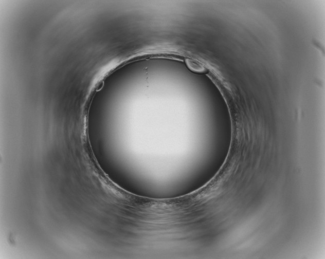 X0000096471366200802071847