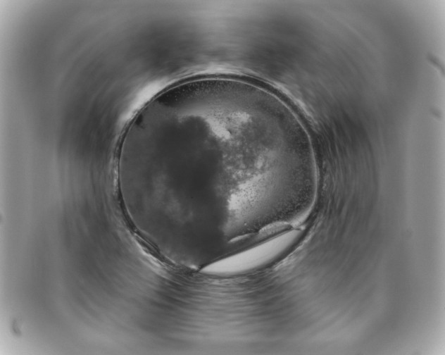 X0000096471367200802071847