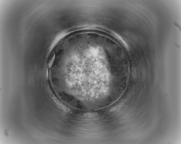 X0000096471368200802071847