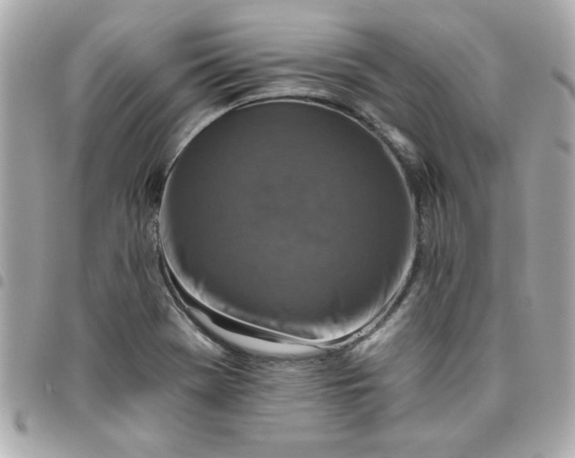 X0000096471369200802071847