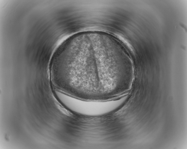 X0000096471372200802071847