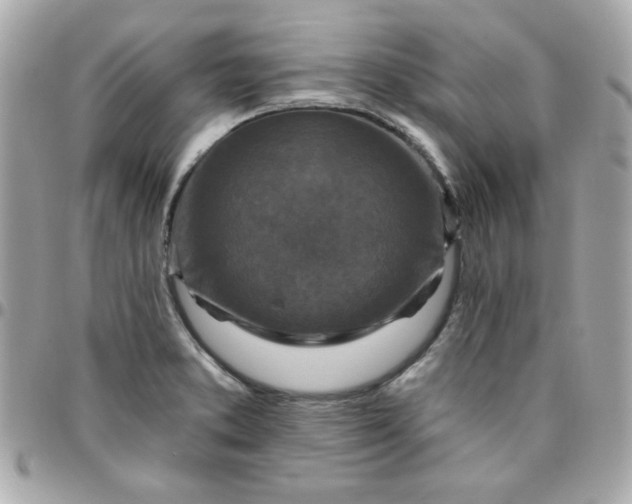 X0000096471373200802071847