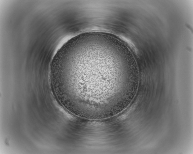 X0000096471374200802071847