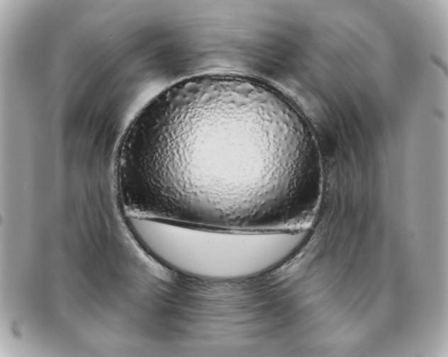 X0000096471375200802071847