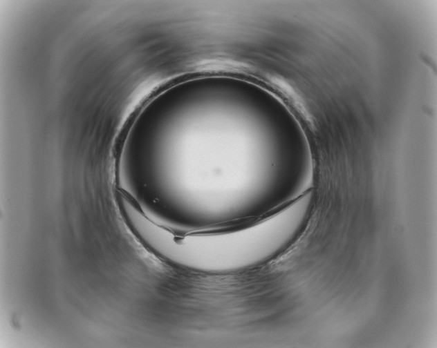 X0000096471376200802071847