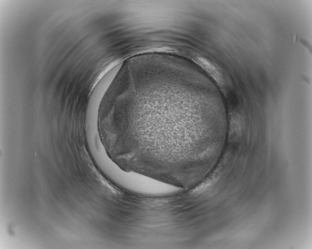 X0000096471377200802071847