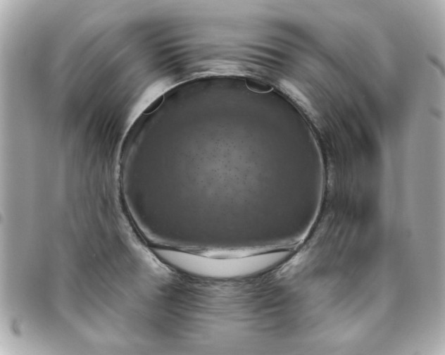 X0000096471378200802071847