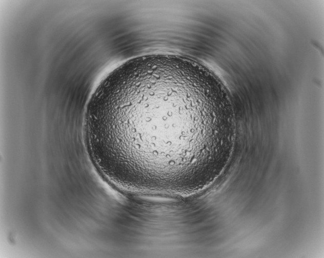 X0000096471379200802071847