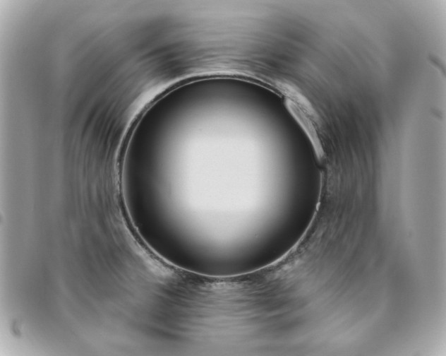 X0000096471380200802071847