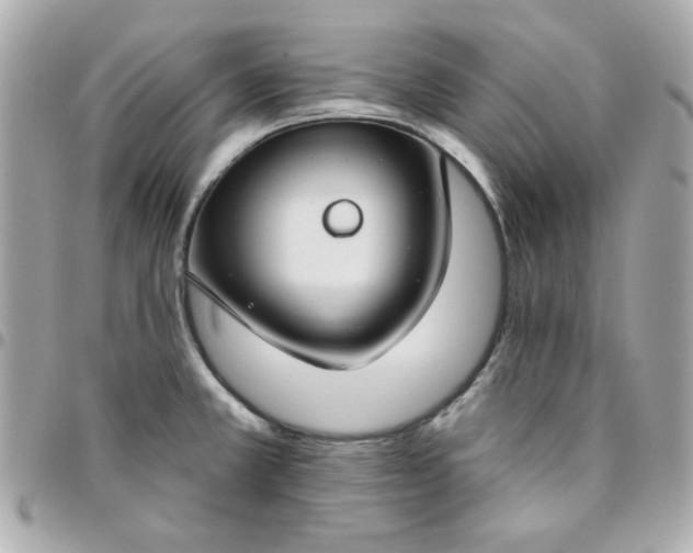 X0000096471381200802071847