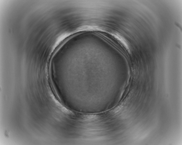 X0000096471382200802071847