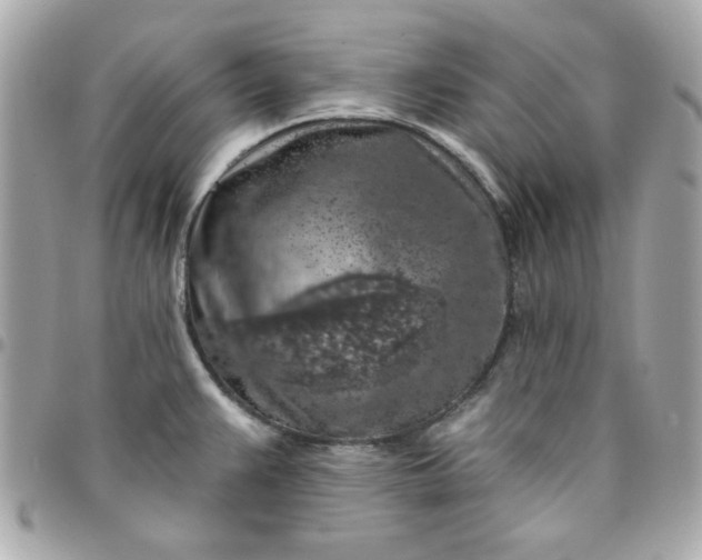 X0000096471383200802071847