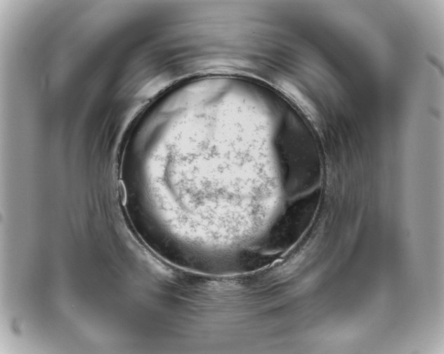 X0000096471384200802071847