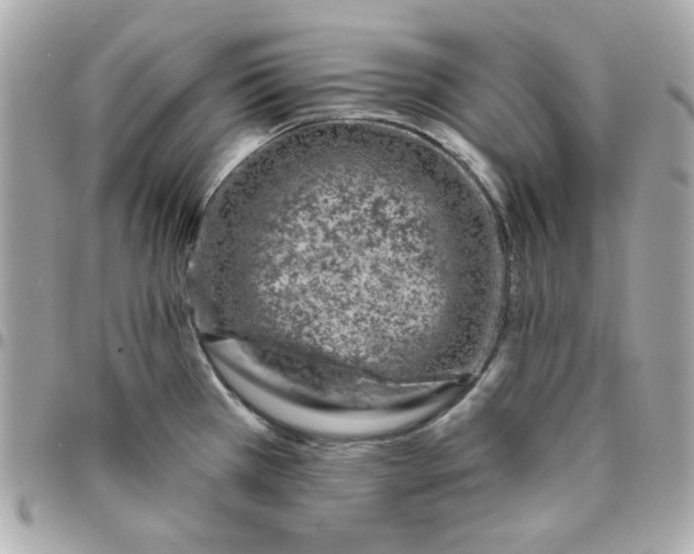 X0000096471385200802071847