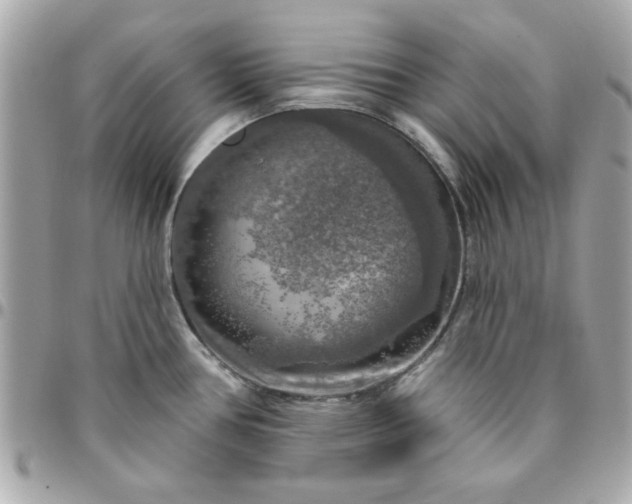 X0000096471386200802071847