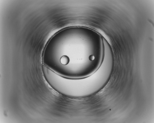 X0000096471388200802071847