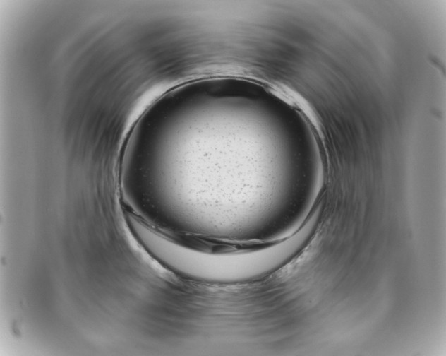 X0000096471389200802071847