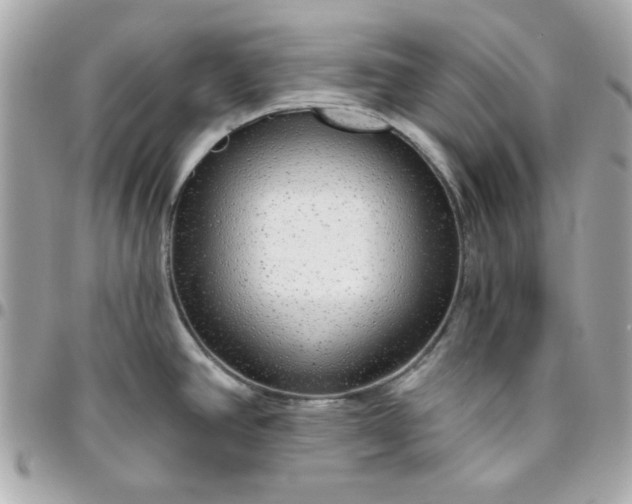 X0000096471390200802071847