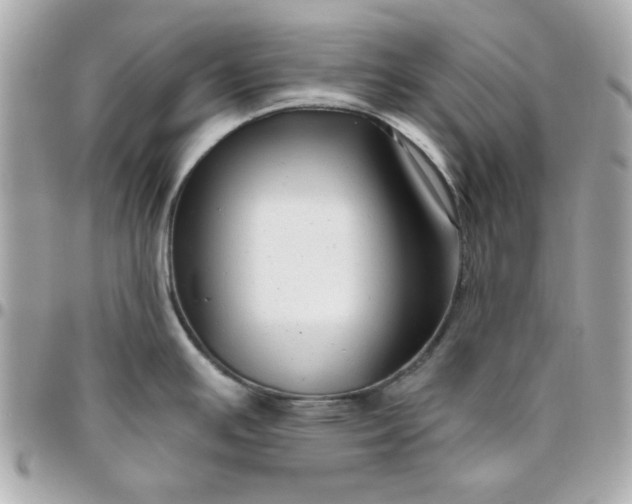 X0000096471391200802071847