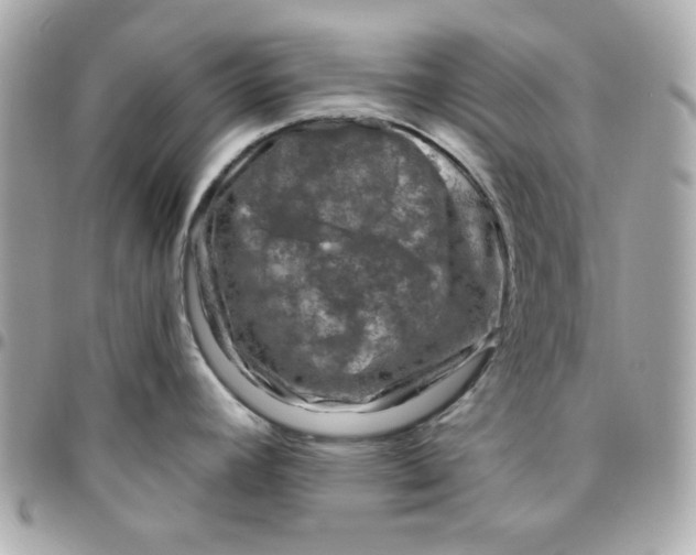 X0000096471392200802071847