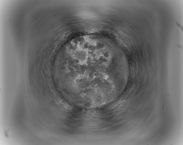 X0000096471393200802071846