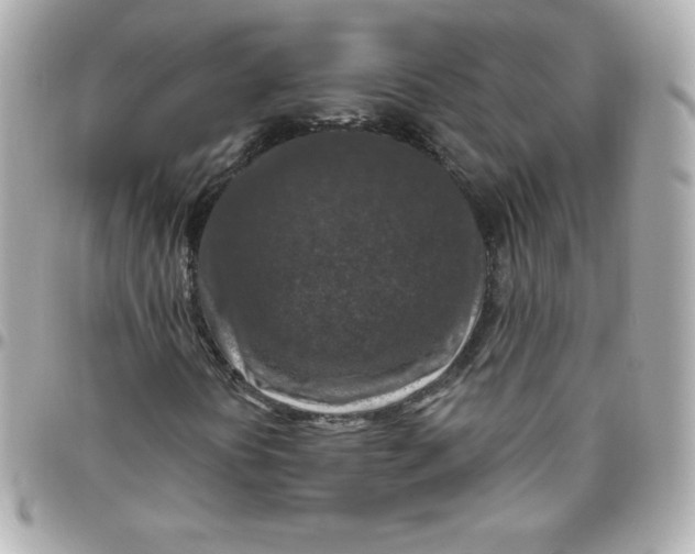 X0000096471394200802071846