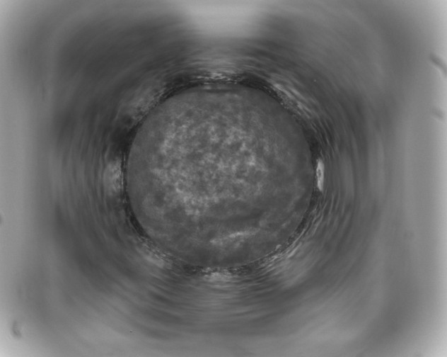 X0000096471395200802071846