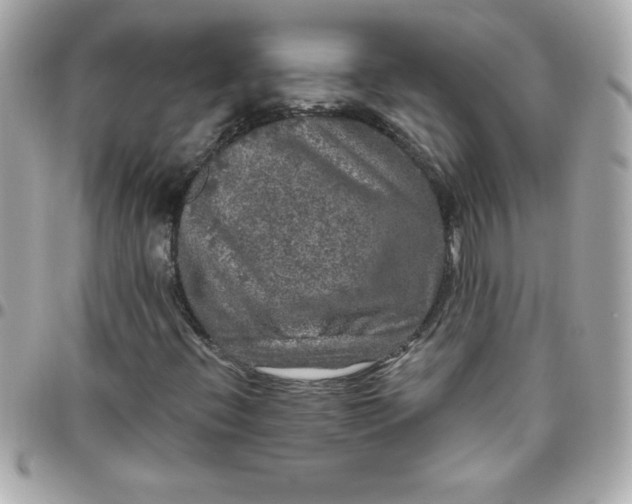 X0000096471396200802071846